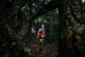 BIB: 
                            <button type="button" onclick="openModal(25676566)" class="btn btn-primary btn-sm float-right btn-popup" data-toggle="modal" data-target=".modal-high-quality">
                        <i class="fas fa-shopping-cart"></i> Add to Cart
                    </button>
                                            <button type="button" onclick="isThisMe(25676566, true)" class="btn btn-success btn-sm float-right btn-popup btn-isme hidden" data-toggle="tooltip" data-placement="bottom" title="นี่คือรูปของคุณใช่ไหม คลิกที่นี่เพื่อเอาเข้าอัลบั้ม">
                        <i class="fas fa-plus"></i> Add to album
                    </button>
                    <button type="button" onclick="isThisMe(25676566, false)" class="btn btn-warning btn-sm float-right btn-popup btn-isnotme hidden">
                        <i class="fas fa-ban"></i> Remove from album
                    </button>